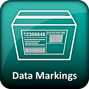 Data Marking Icon